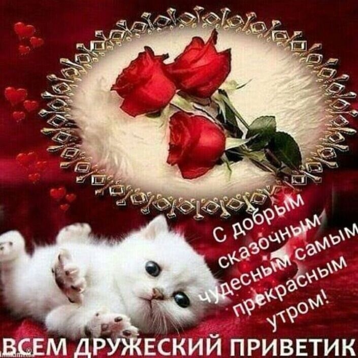 вский приввтик