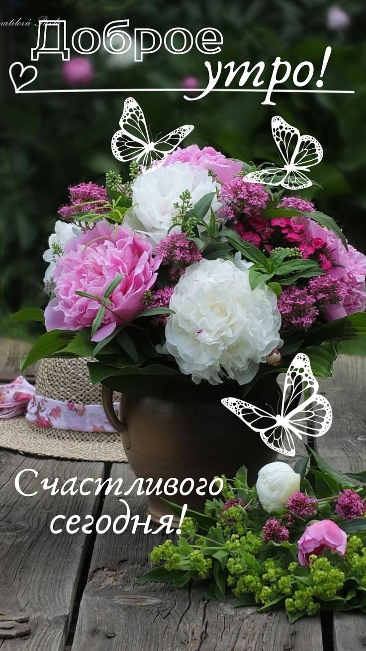 ивого _ сегодня