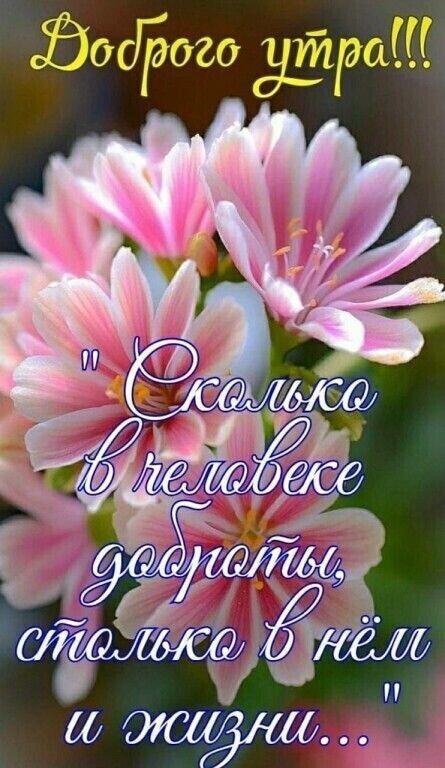 ЙосГаага