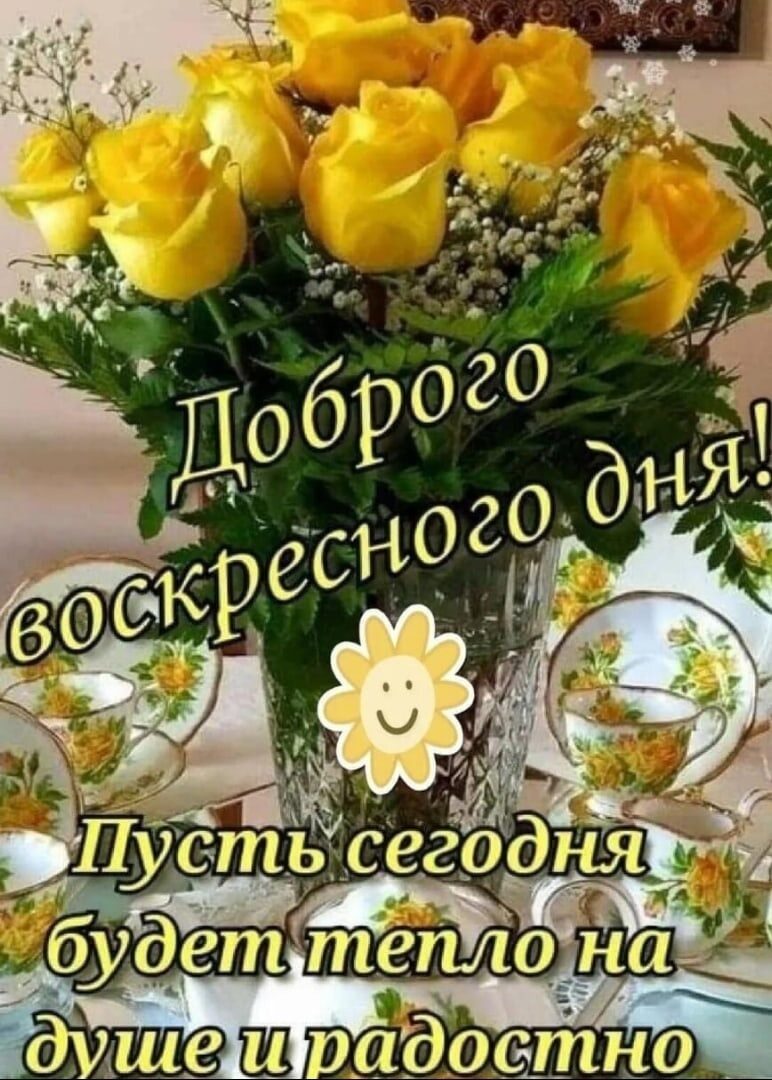 дежонщя НО