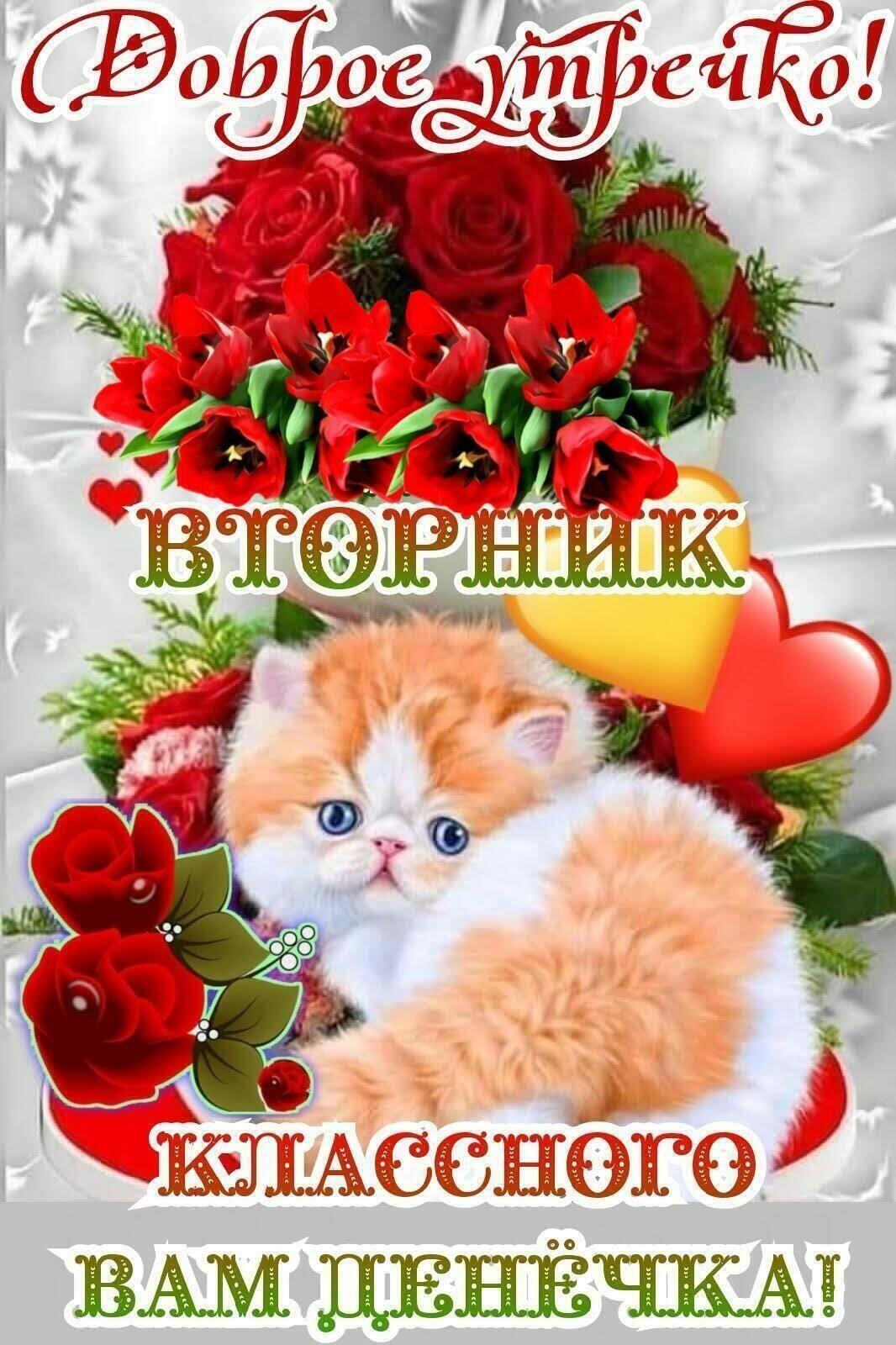 ВАМ ДЕНЁЧКА