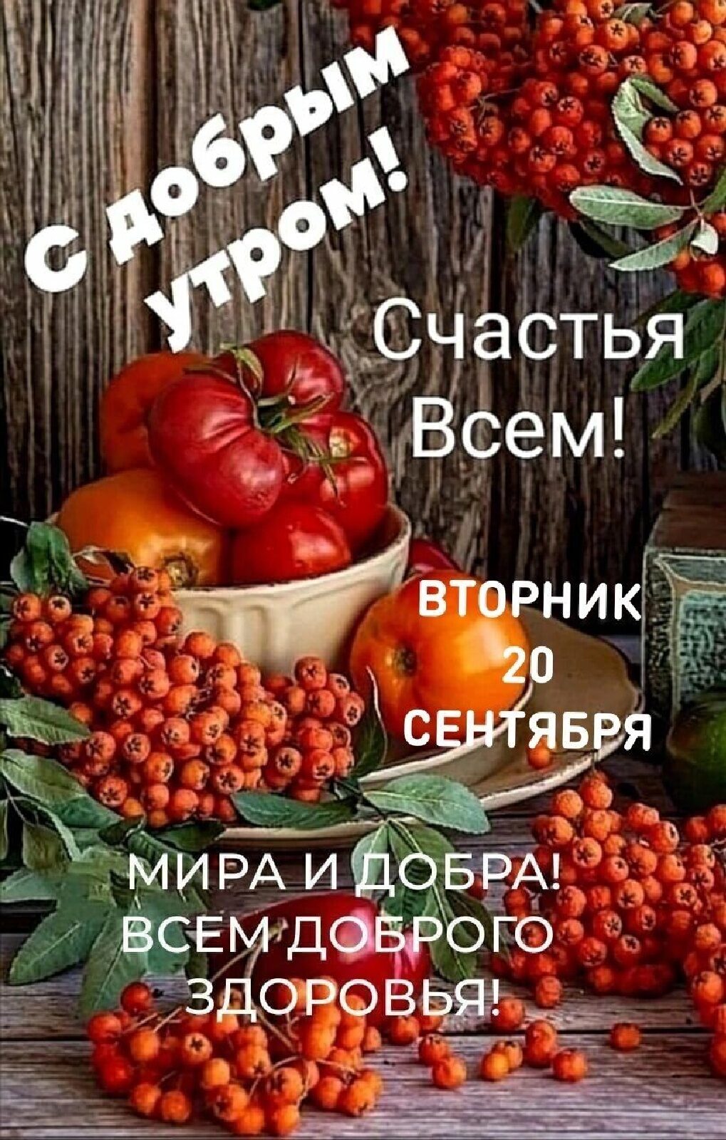 Мии __м Счастья _ у _ и Ъ ні ЁЁ г т 3 а миБАд и БЕАЁЧЧ ЧЕ ОГО Ш