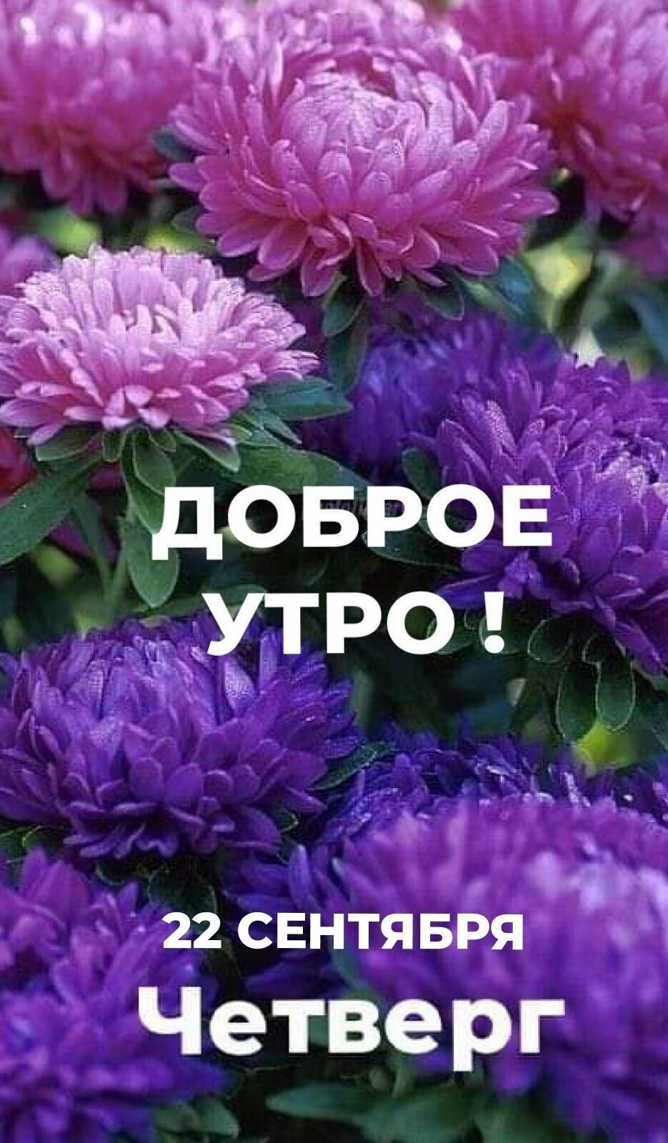 щовров утро У д п 22 СЕНТЯБРЯ Четверг