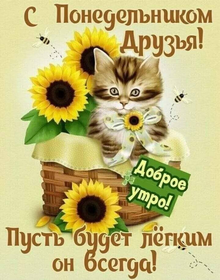Понеуелъником 9315 Пусть 6 тт лёгщ он сег9а