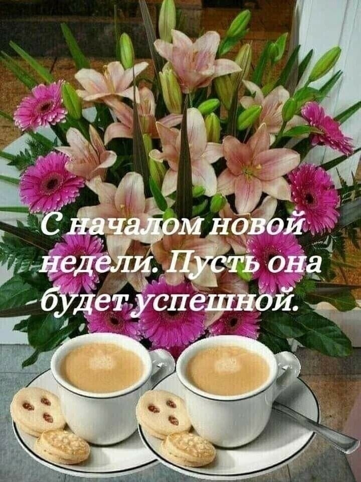 рігліед ёё она Ёбуддіуслёдтьщдд