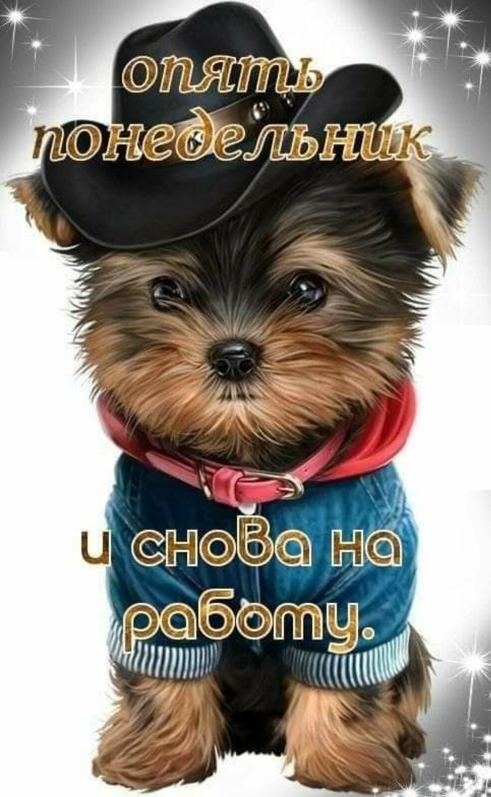 і чё и
