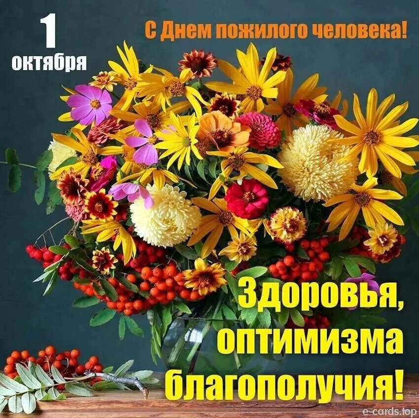 с днем ППЖИПШВ ЧВПОББКП питяппп 5 Ё У 232 лашпопуиин__ мм