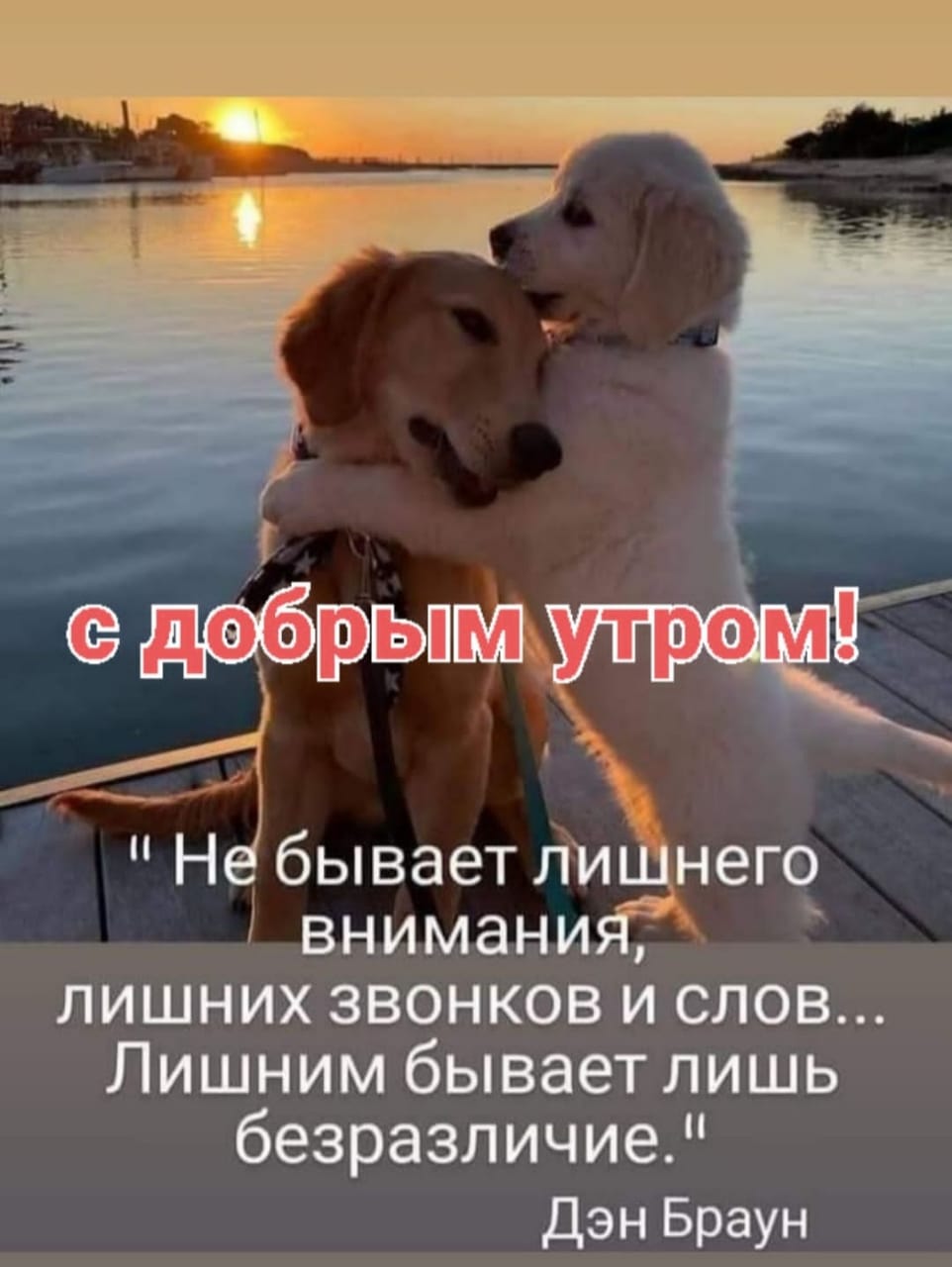Не бывает лишнего внимания лишних звонков и слов Лишним бывает лишь безразличие Дэн Браун