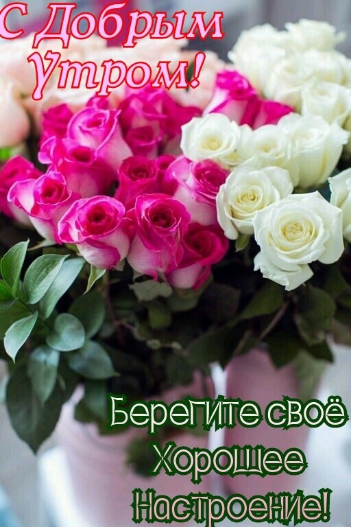 ЩоеЫИе
