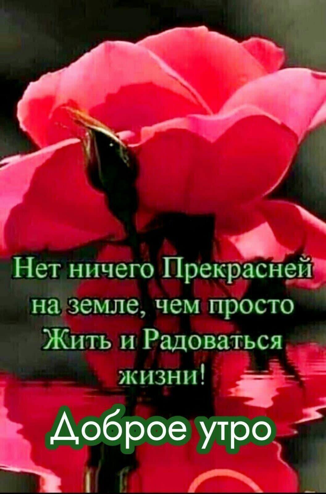 Нет ничего Прекрасней на земле чем просто Жить пРадоваться _ жизни ЁЁ Доброе утро АК _