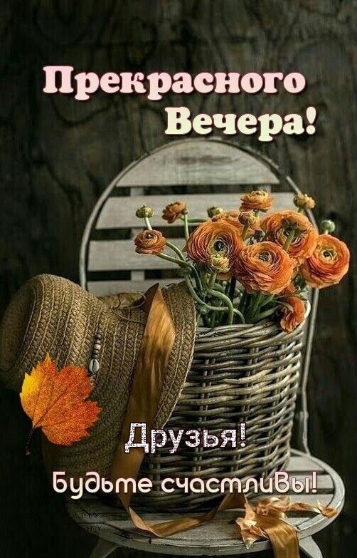 прекрасного Венера другё Будьте счёте