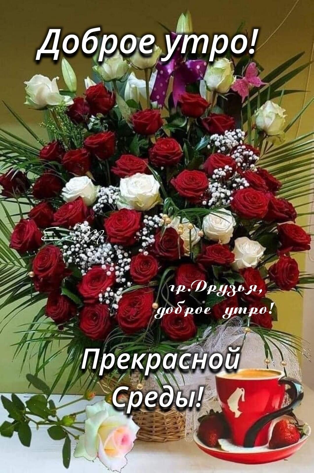 добро урцш