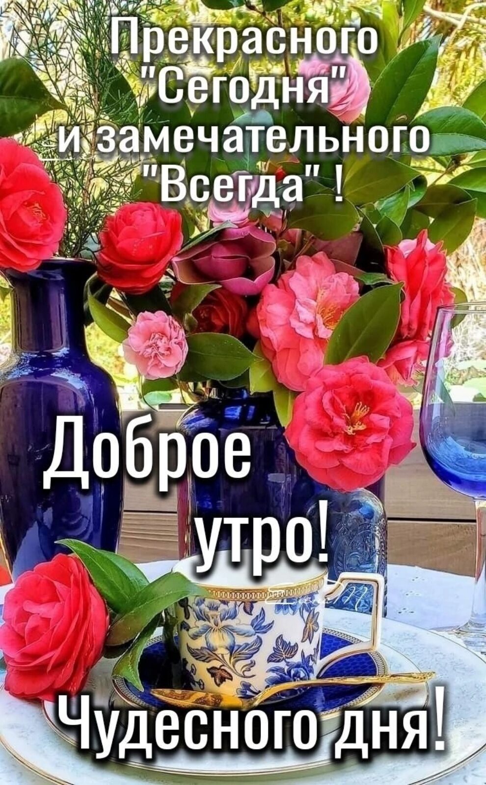 Чудесногодня