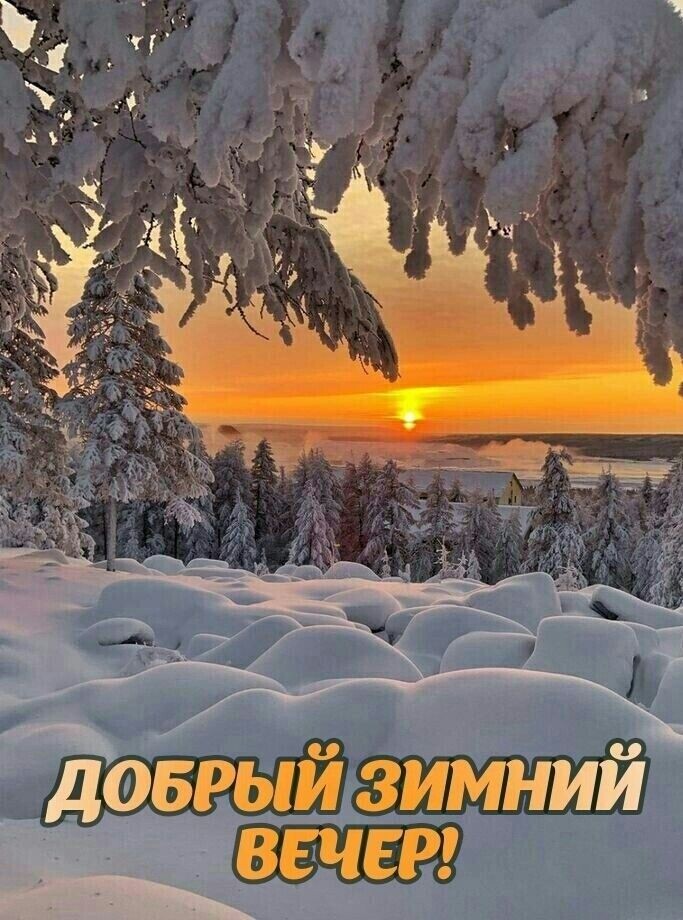 Боврый зимний ВЕЧЕР