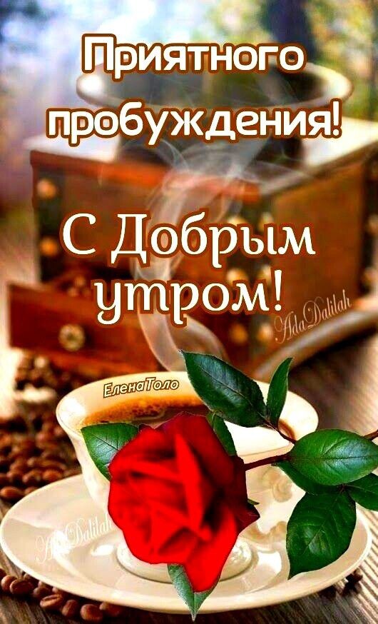 Приятногоз пребузкденид х