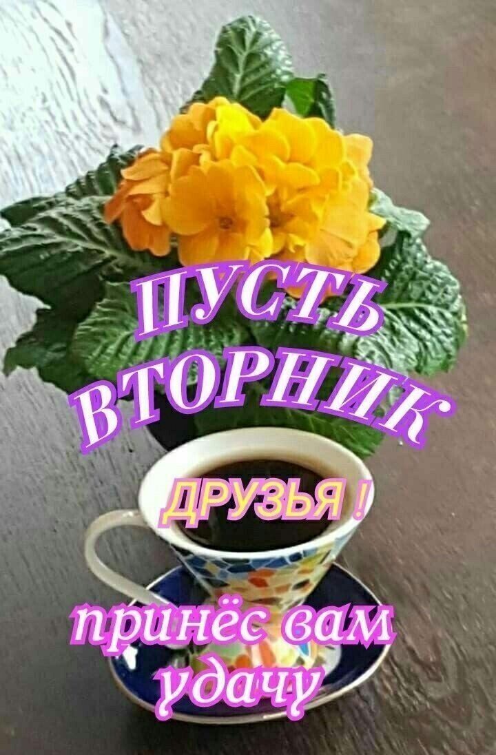 идёс вам _ 12 1 удав М