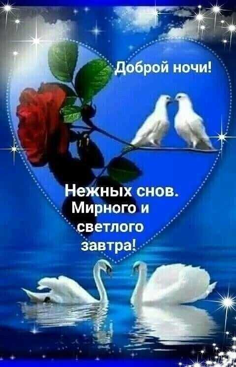 __ Нежных снов Мирногои _ветлого