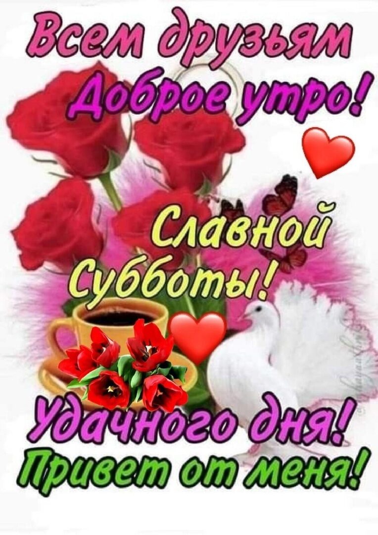 Вегл др с угро 5