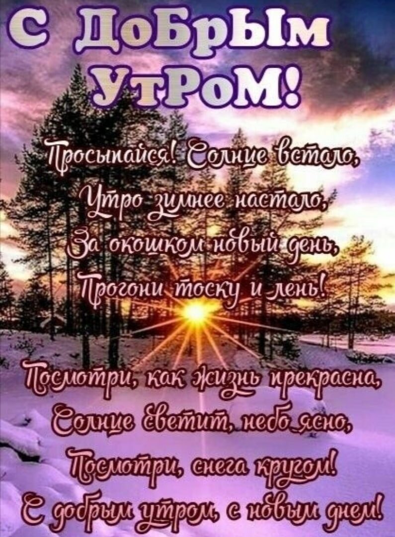 ТЕ руютри 94 ёе