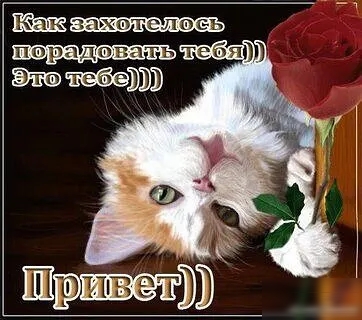 31отолось