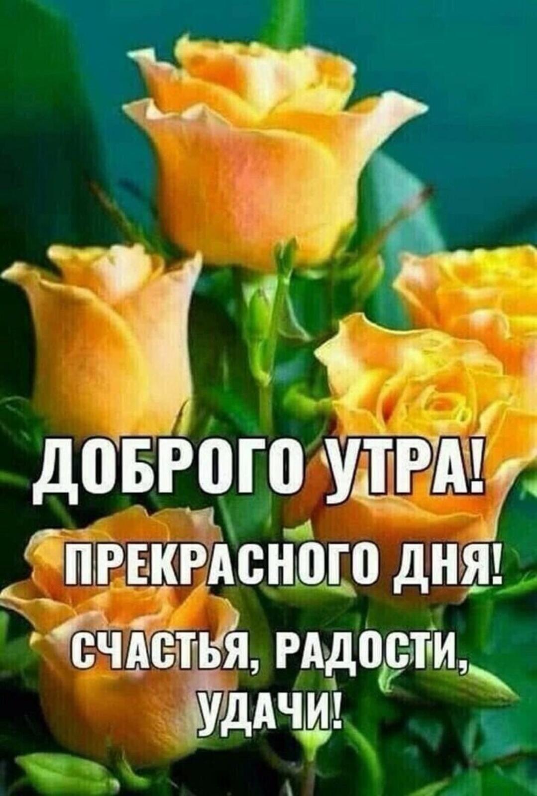 ЕЖЁ довго ДВД Ёпгъкгдснмого днъш Ё 5 Рддпстіи дичи