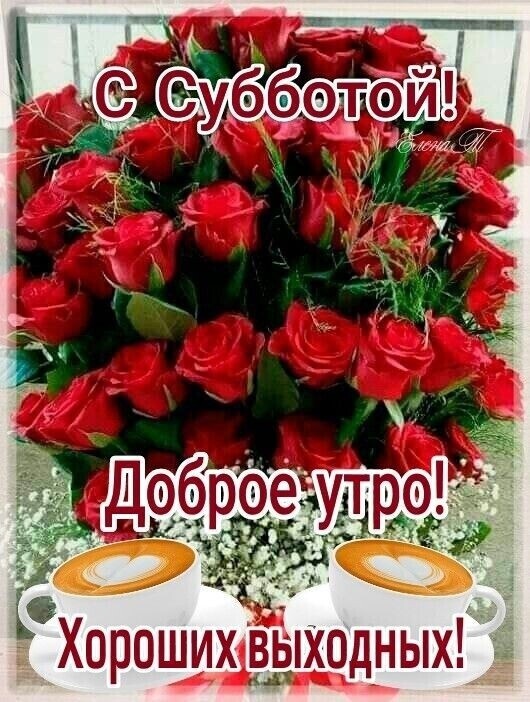 Хороишшшщдуых