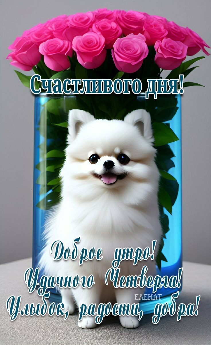 9301195 утра пнд шймажтии