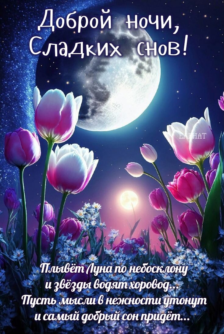 Доброй НоЧИ Стдгих Нов