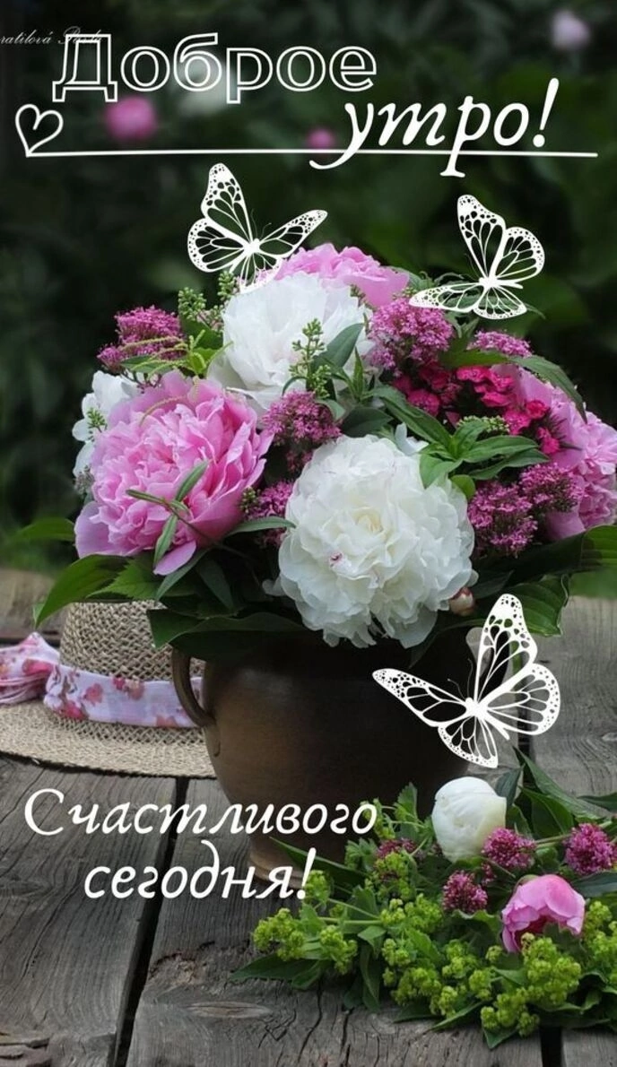 мвого _Ё сегодня
