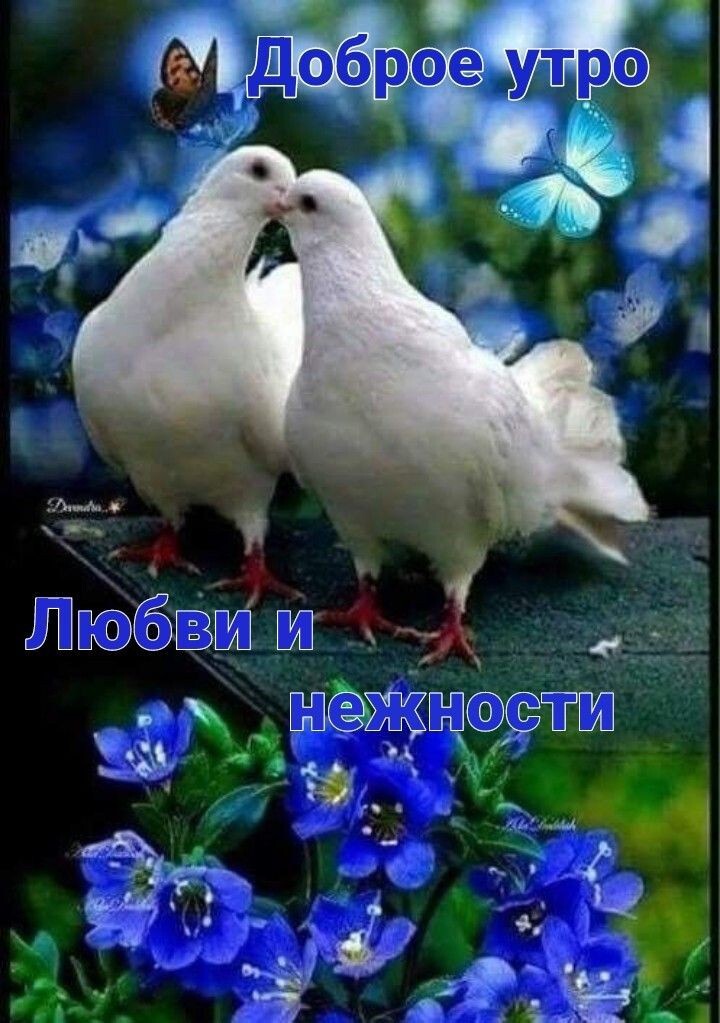 ЁЁ Жизёытд _ _ВПЖПЩ А т Ъцч 1 Л я чё