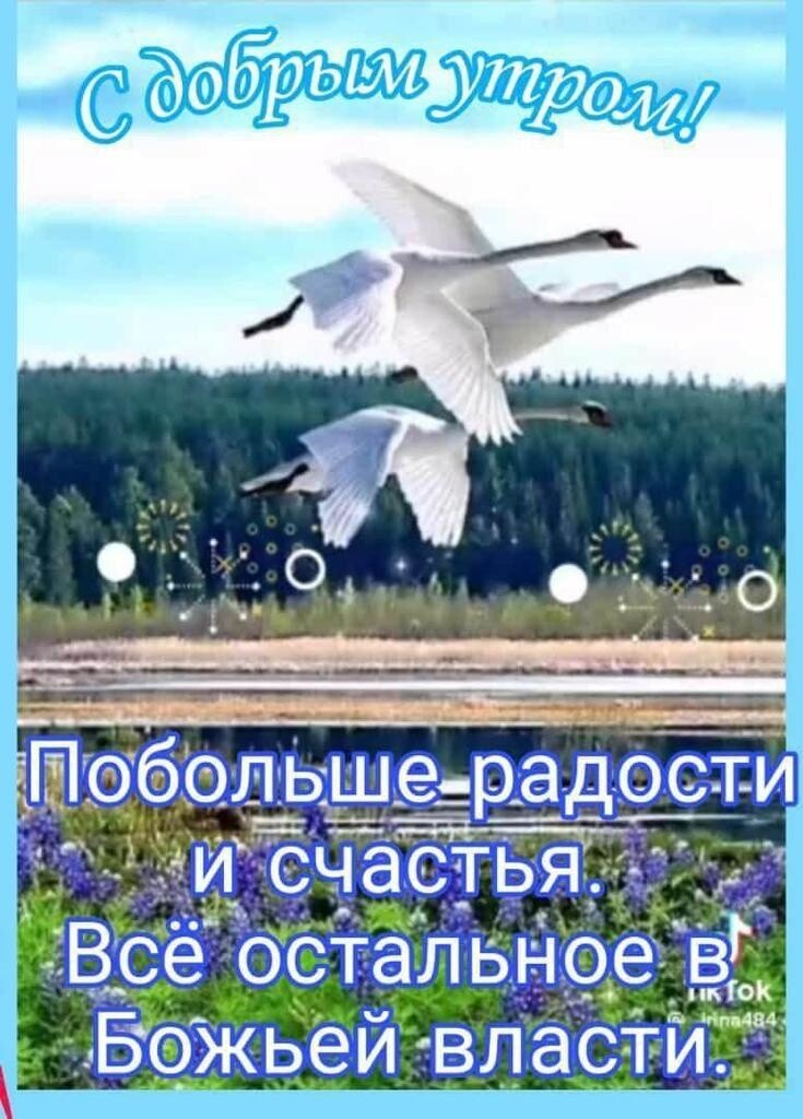 _в_се остальное в и Божьем власти