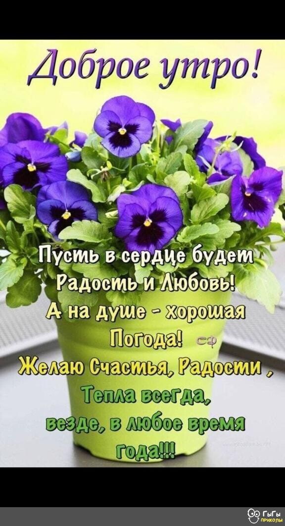 _ Доброе утро