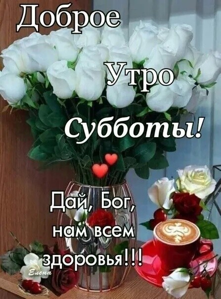 34 _ я ДЁЙ Боп 1 д 1 намвэет