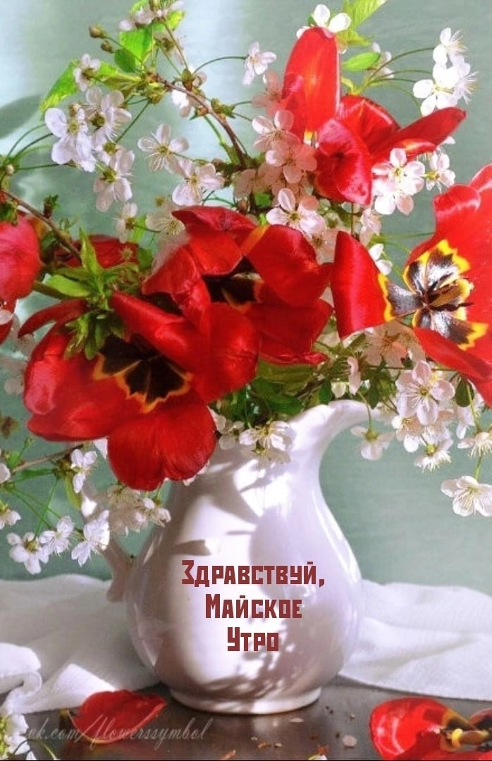 приятии Иликп тпп