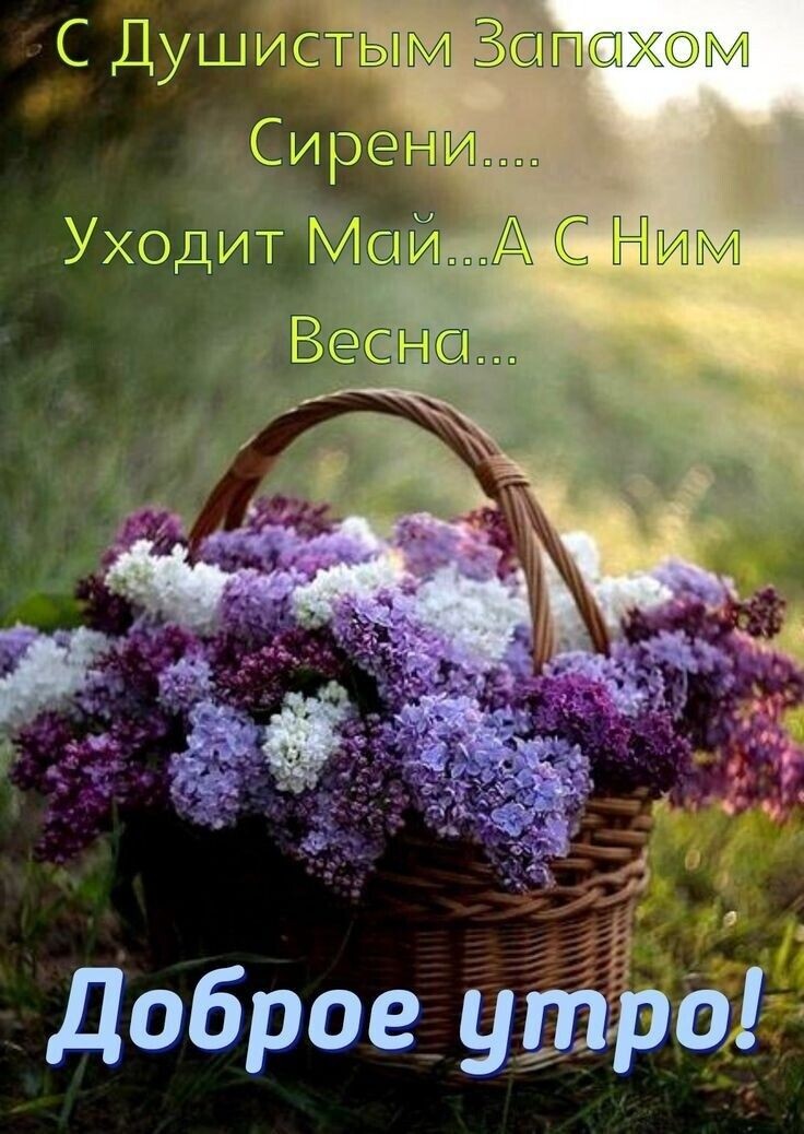 доброе утро 5
