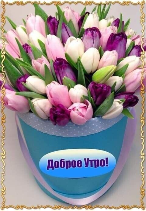 олоеА с