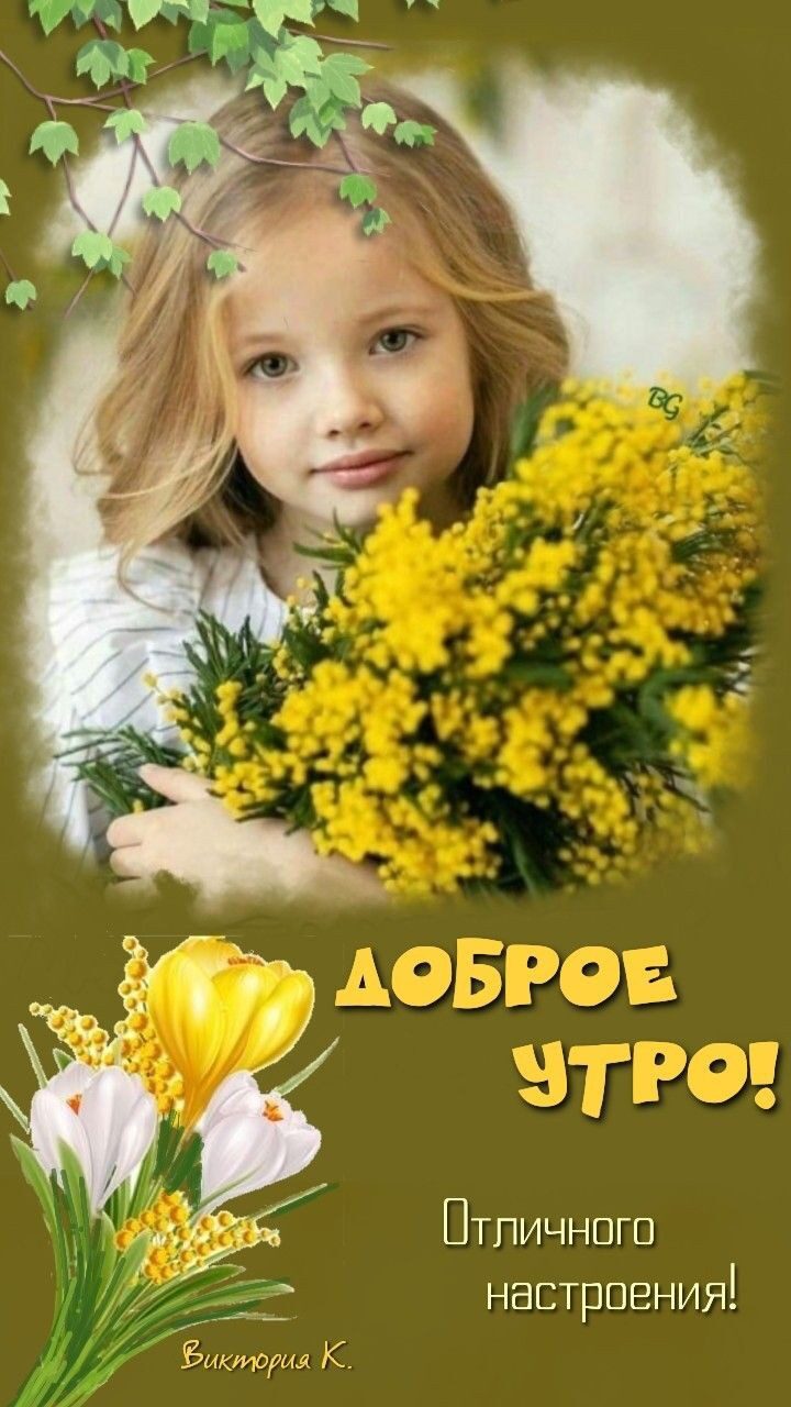 Птпичногв настрпвния М к