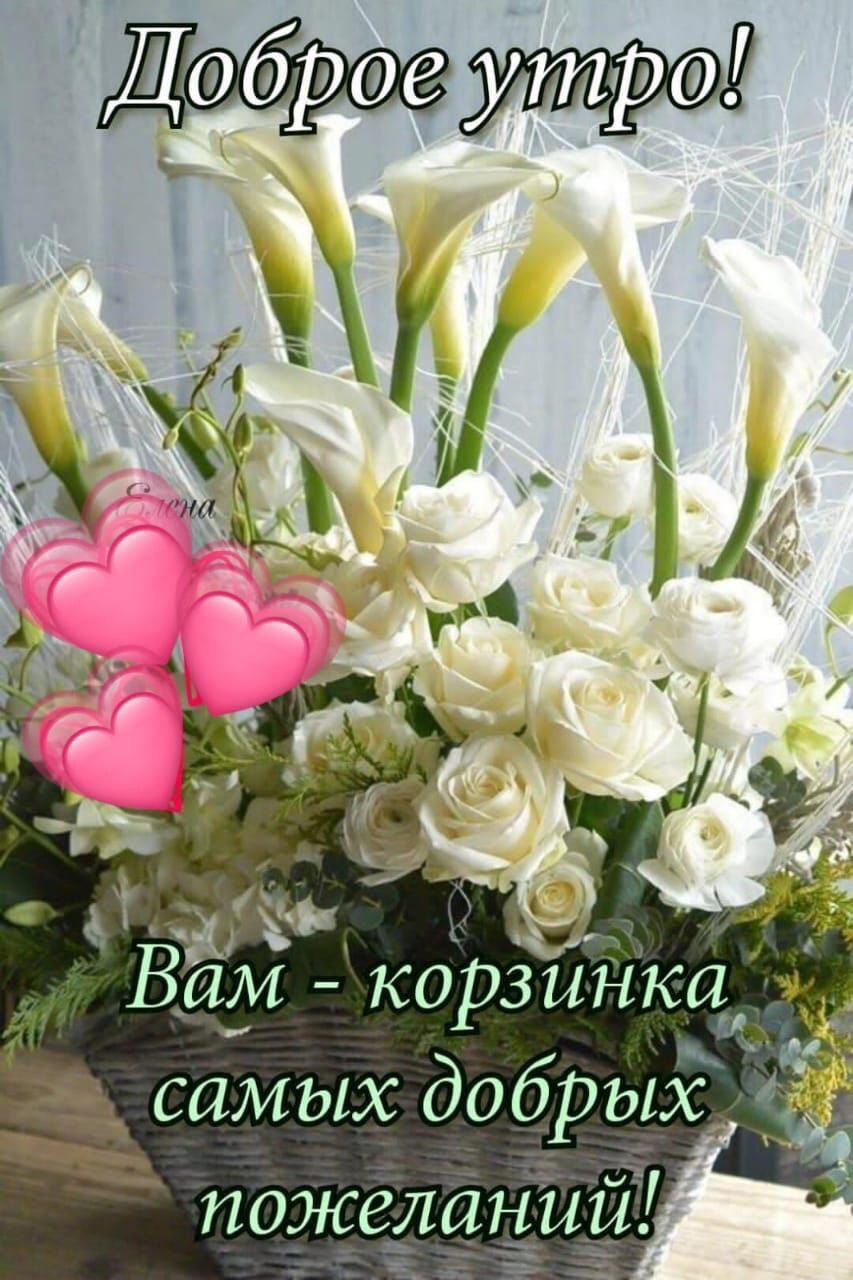 ЁГЁЧ 7 БДМ коРзинкач а самых добрых пожелают
