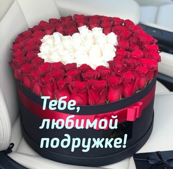 е к ж и Р д о п