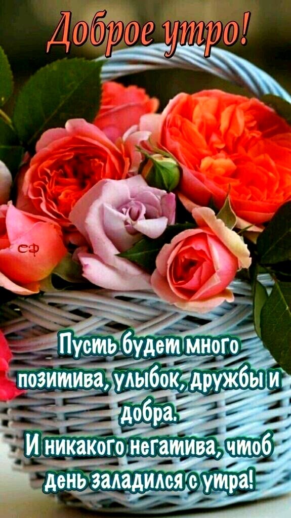 позитива улыбок дружбы и _ _ добід доньдзададимія с