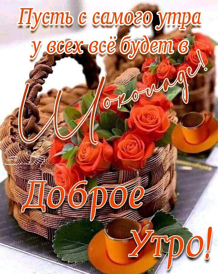 Пуетые вамоёовутра