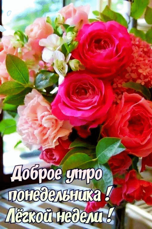ое трд По ЬН і Ё шка Щйінедящ