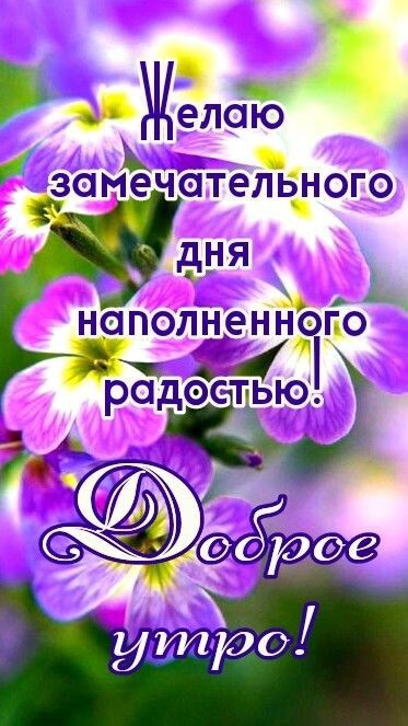 о 5 а