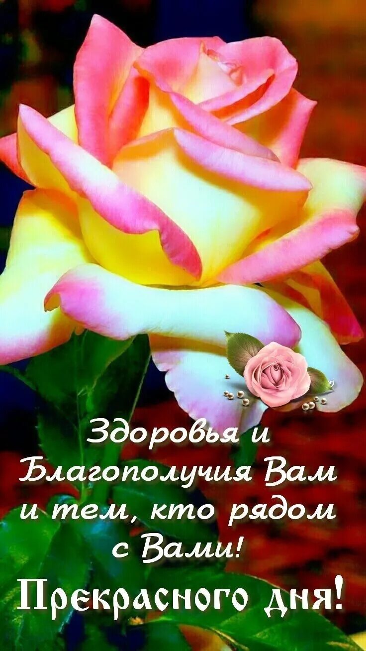 здоро и Ълагополучия Вам и теги кто рядом с Вами Прекрдсного дня