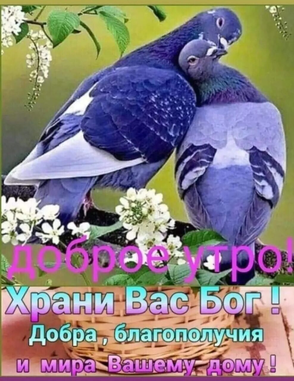 _ о шадас Брг Добралбдзіадьсэддууия ЁЁйіёу