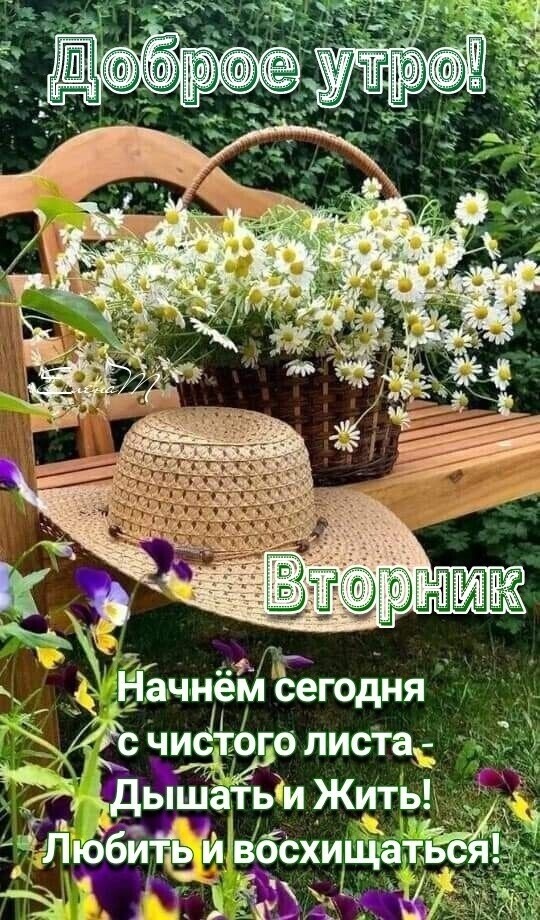Начнём ёегодня _ Ёрчи оголисТаЕ д Ё5и Жить