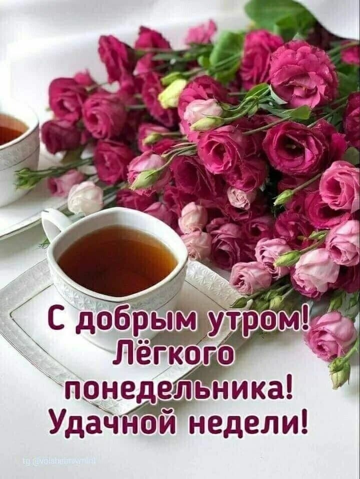 понедельника УдайнЪй недели
