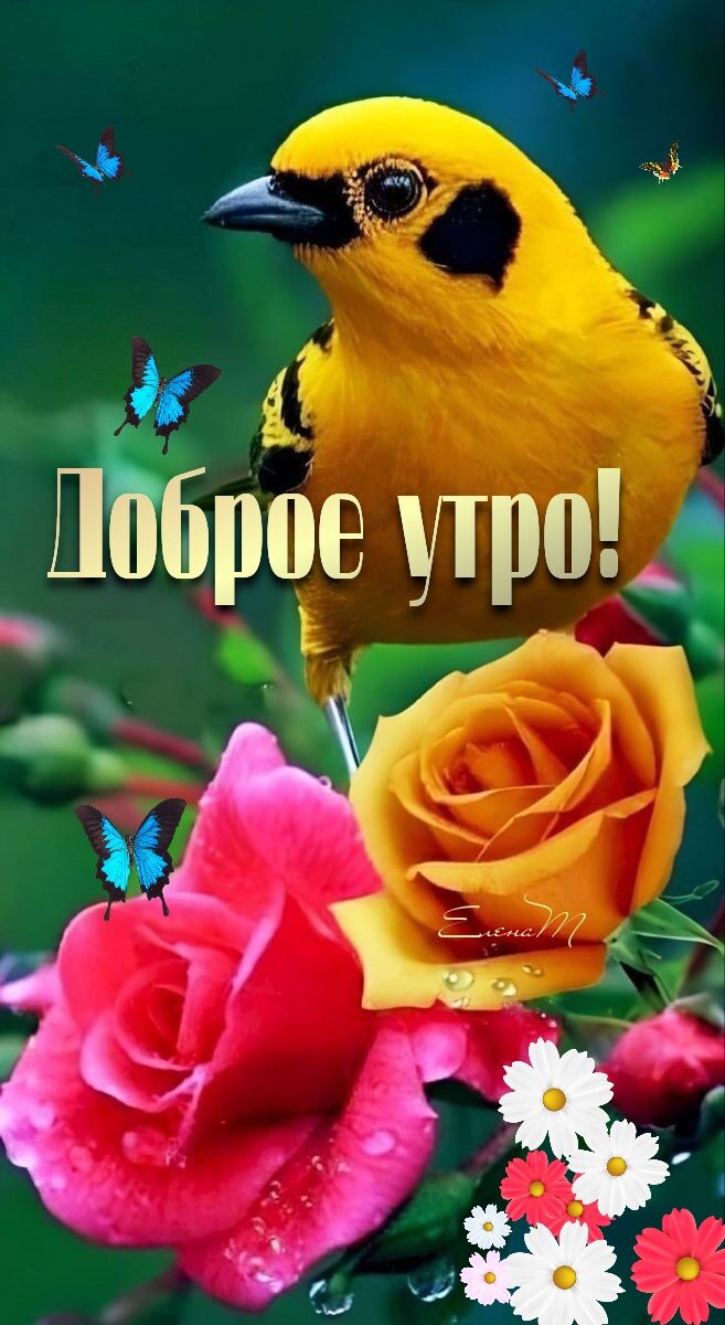 к д 5 6006 утро _ і _ Т 9 7 с Ё г _ ж _