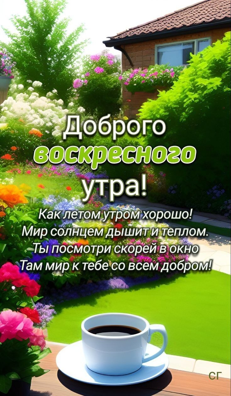Утра адюмщ утромхорошо Мир солнцем дьшит_ и теплом Тосмотри скодёйчъзгбк 0 Там мир к тебе со всем добр а а