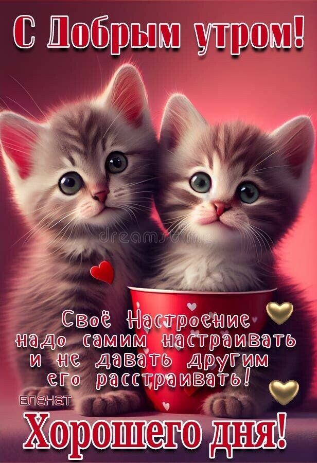 РЁЁЬрёгэашса ждусашшщ айрашаатё и Даватса Г